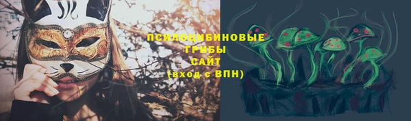 хмурый Алексеевка