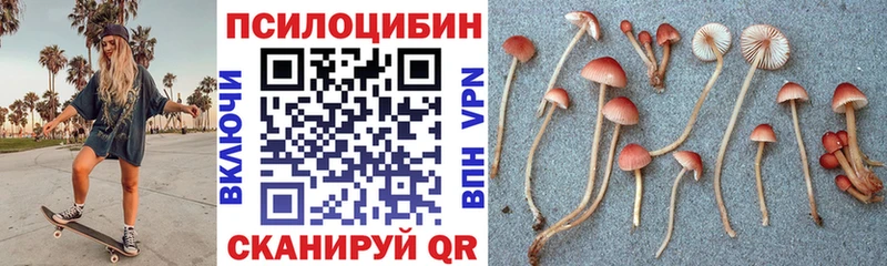 где можно купить наркотик  OMG ССЫЛКА  Галлюциногенные грибы Cubensis  Ардатов 